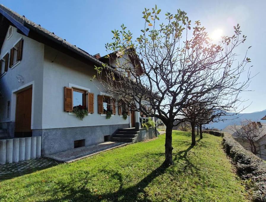 הוילה Zelezniki House Pucnk-Beautiful Countryside מראה חיצוני תמונה