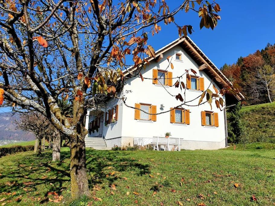 הוילה Zelezniki House Pucnk-Beautiful Countryside מראה חיצוני תמונה