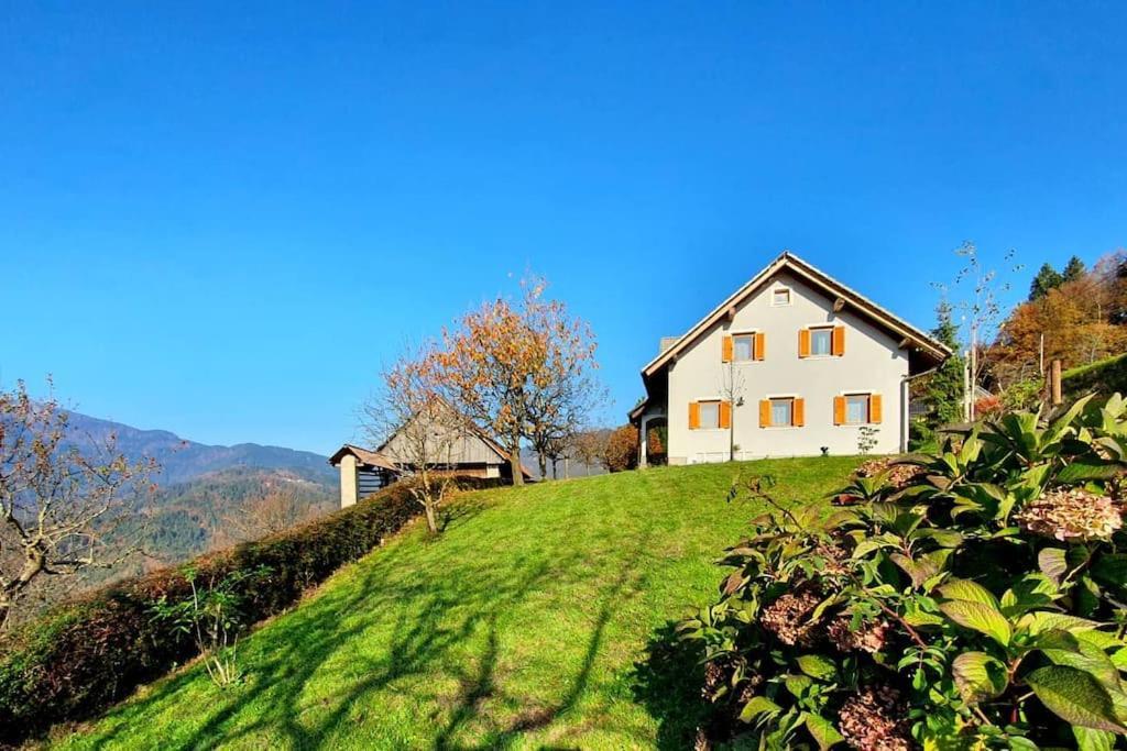 הוילה Zelezniki House Pucnk-Beautiful Countryside מראה חיצוני תמונה