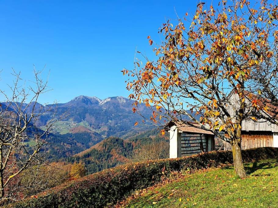הוילה Zelezniki House Pucnk-Beautiful Countryside מראה חיצוני תמונה